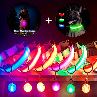 Usb Charging Glowing Dog Collar with Pendant Detachable Luxury Led Light Bright for Small Dogs Cat Night Safety Collar Wholesale