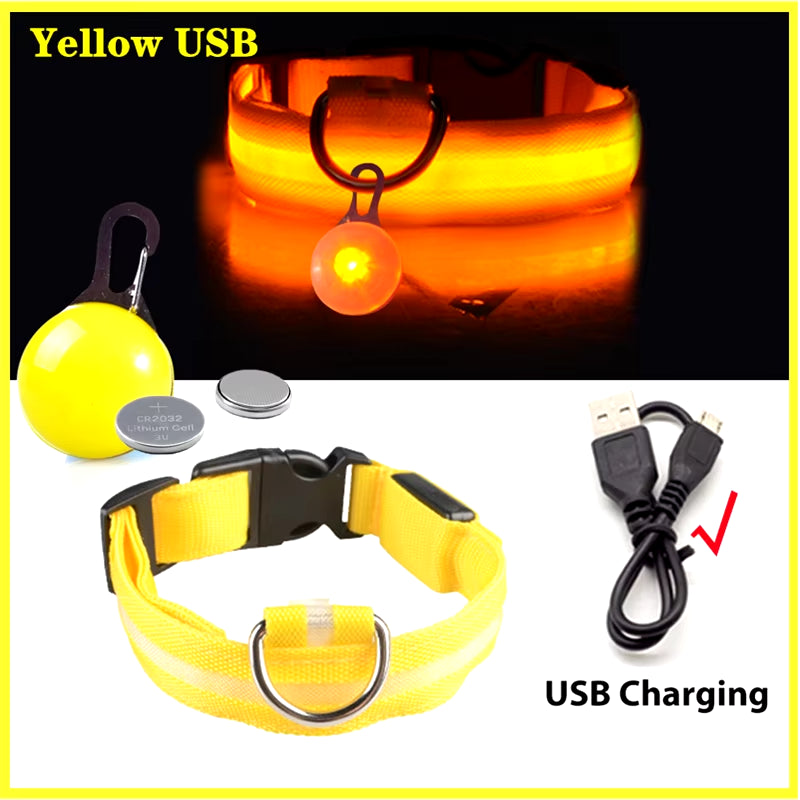 Usb Charging Glowing Dog Collar with Pendant Detachable Luxury Led Light Bright for Small Dogs Cat Night Safety Collar Wholesale