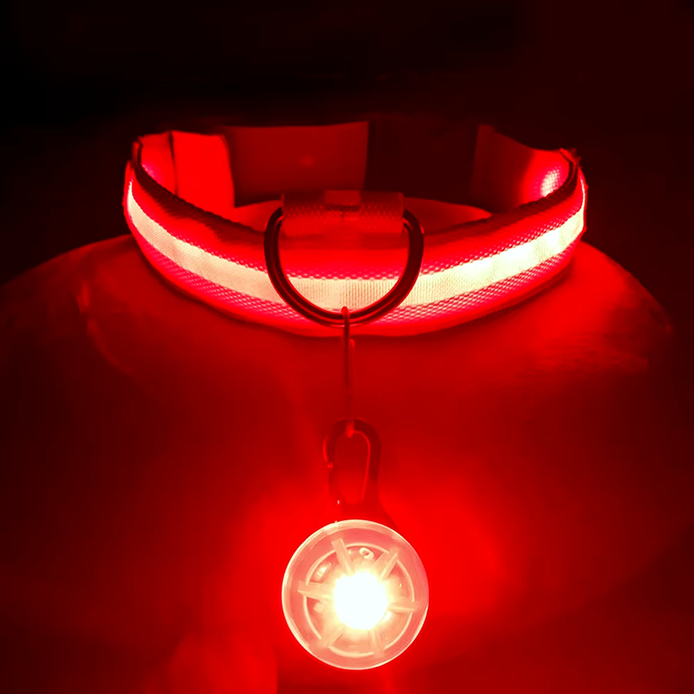 Usb Charging Glowing Dog Collar with Pendant Detachable Luxury Led Light Bright for Small Dogs Cat Night Safety Collar Wholesale