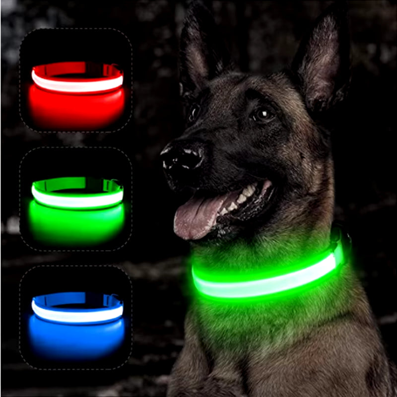 Usb Charging Glowing Dog Collar with Pendant Detachable Luxury Led Light Bright for Small Dogs Cat Night Safety Collar Wholesale