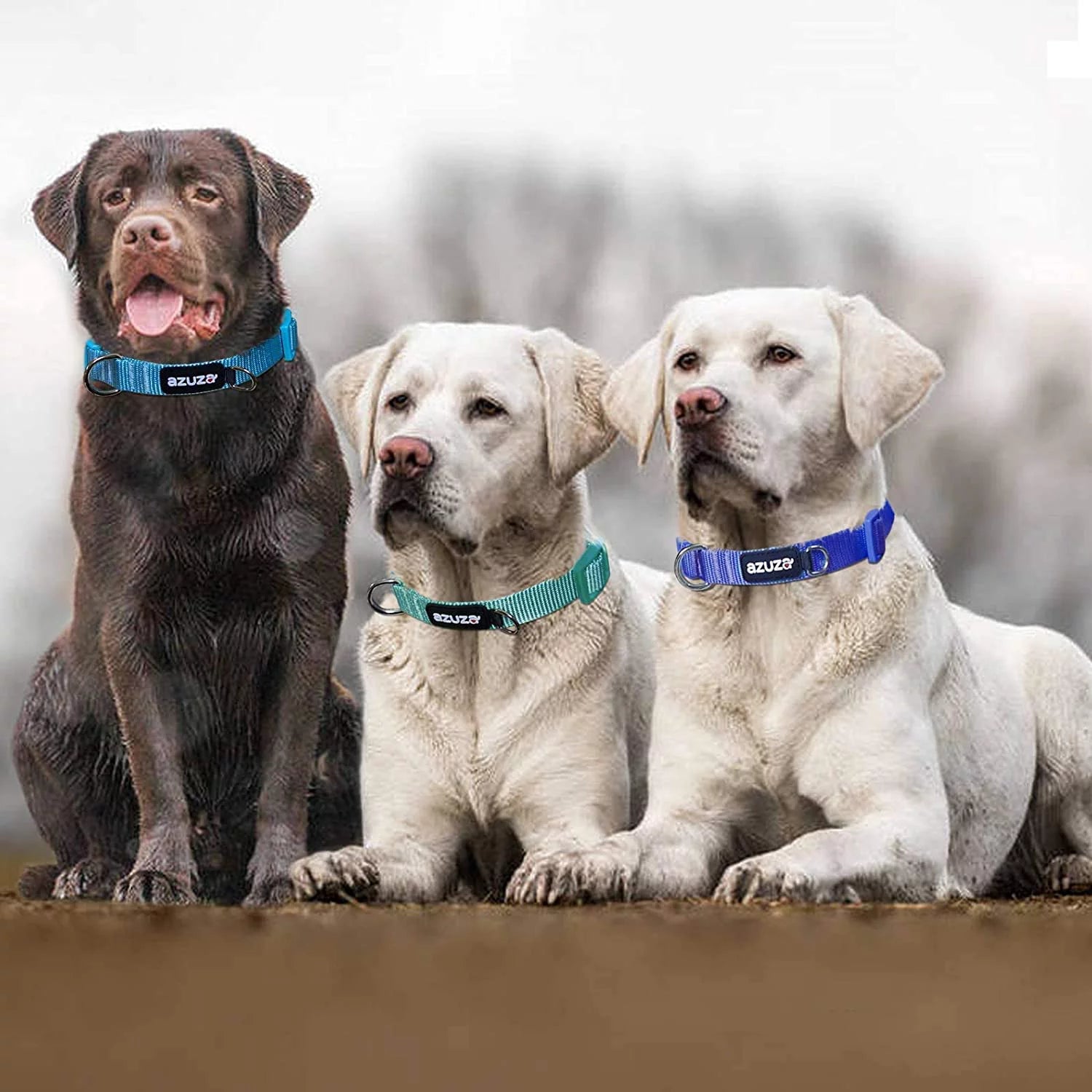 3 Pack Dog Collars Soft Comfortable Dog Collars for Small Medium and Large Dogs